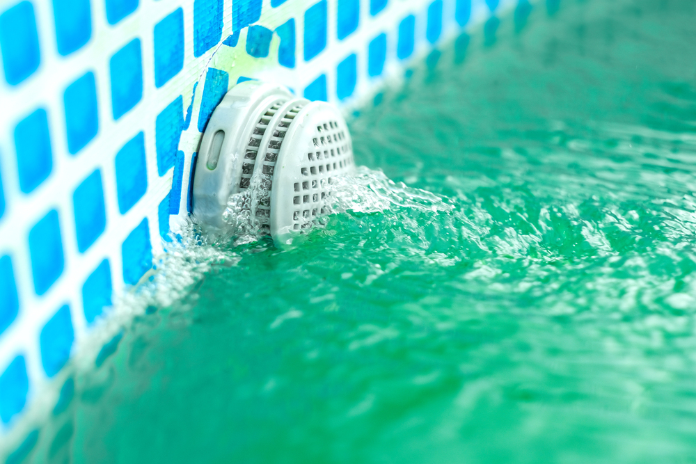 alghe in piscina